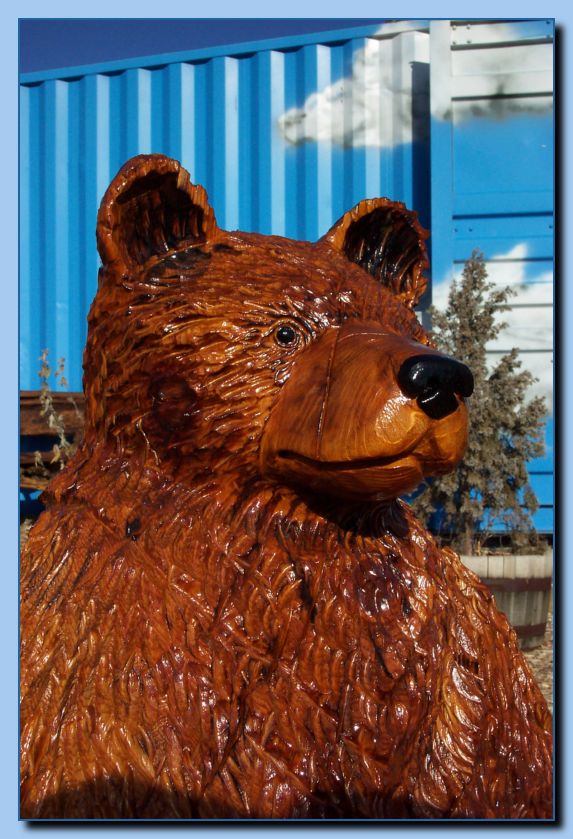 1-46 bear